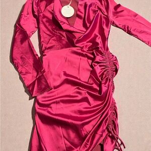 Chic Fuchsia Ruched Long Sleeve Dress
